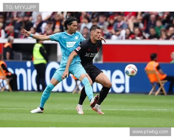 霍芬海姆1899俱乐部发展历程及其在德甲的崛起之路分析